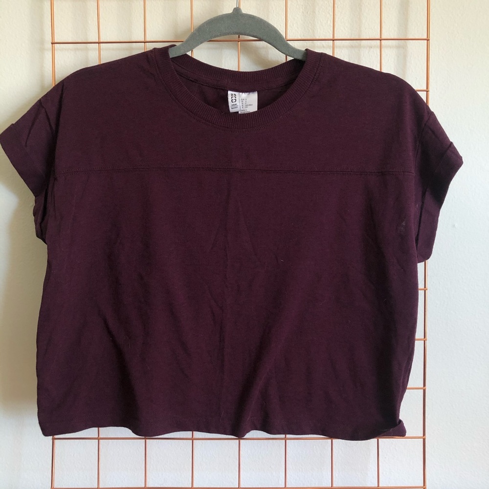 H&M | Maroon Cozy Crop Top